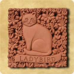 Personalised example of A personalised gift for a magnificent cat