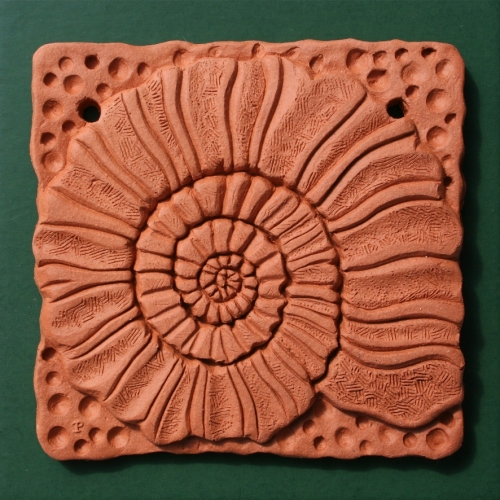 Ammonite wall decor Ammonite wall decor